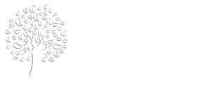 Nossa Espresso Speciality Coffee / Lara Brazil The Coffee Company