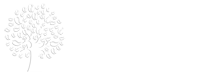 Nossa Espresso Speciality Coffee / Lara Brazil The Coffee Company